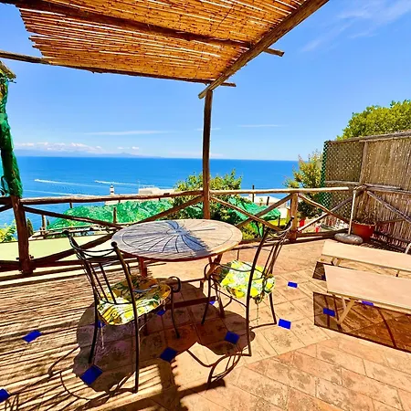 Emotion プライアーノ